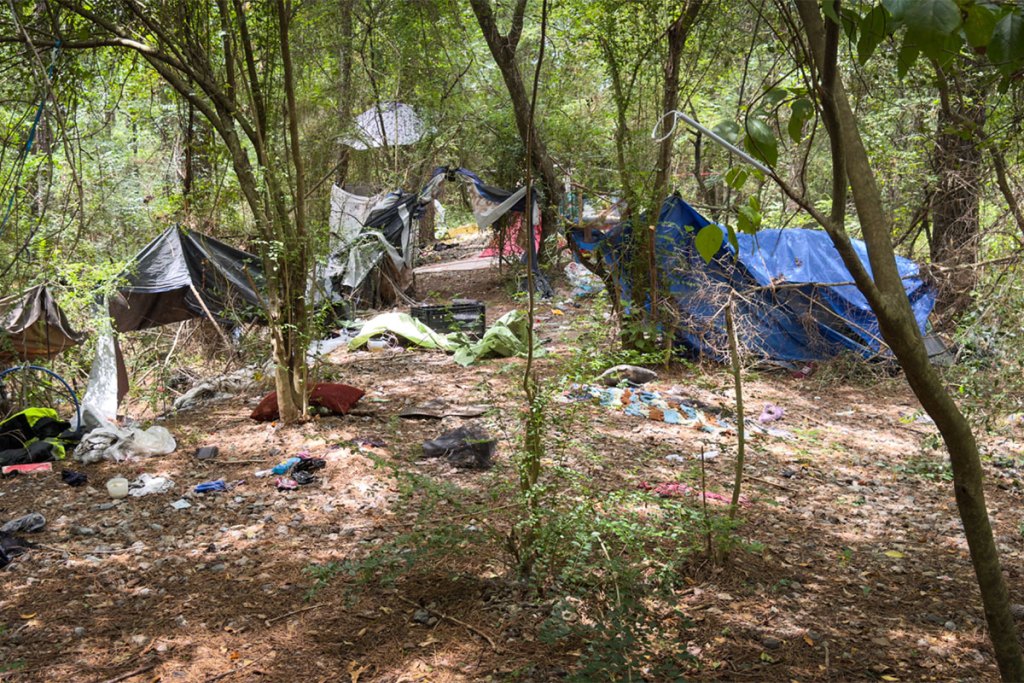 A wooded area with scattered tarps, trash, and makeshift shelters made from plastic and cloth. Trees and debris surround the camp.