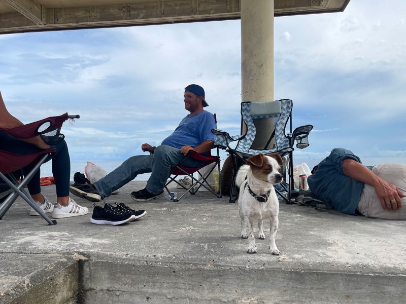 Four people and a dog sit under a shade pavilion on the beach.