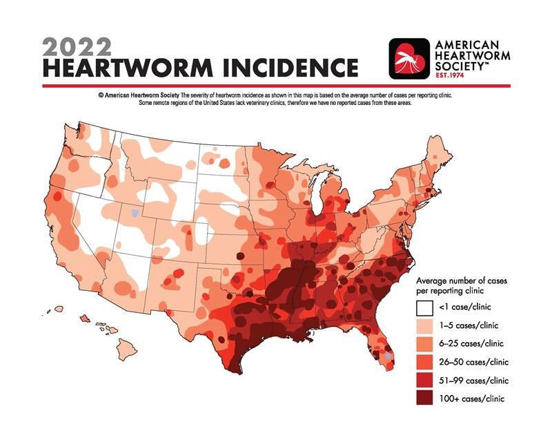 A red heatmap of the United States labeled '2022 Heartworm Incidence'