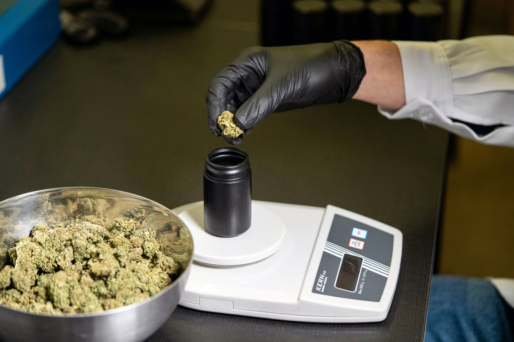 A gloved hand holds a nugget of cannabis flower beside a bowl filled with cannabis flowers.