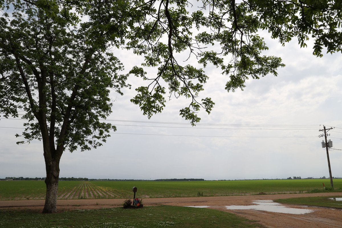 An outside view of a dirt driveway and fields beyond