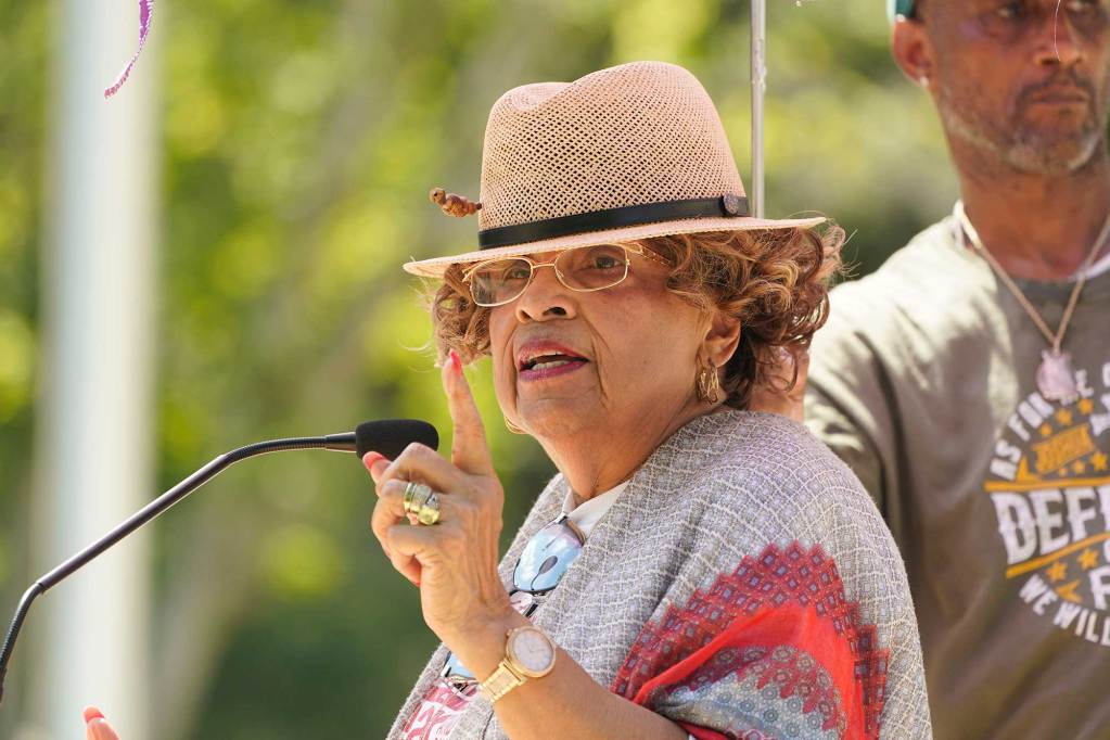 Flonzie Brown Wright, wearing a hat, speaks at an outside event
