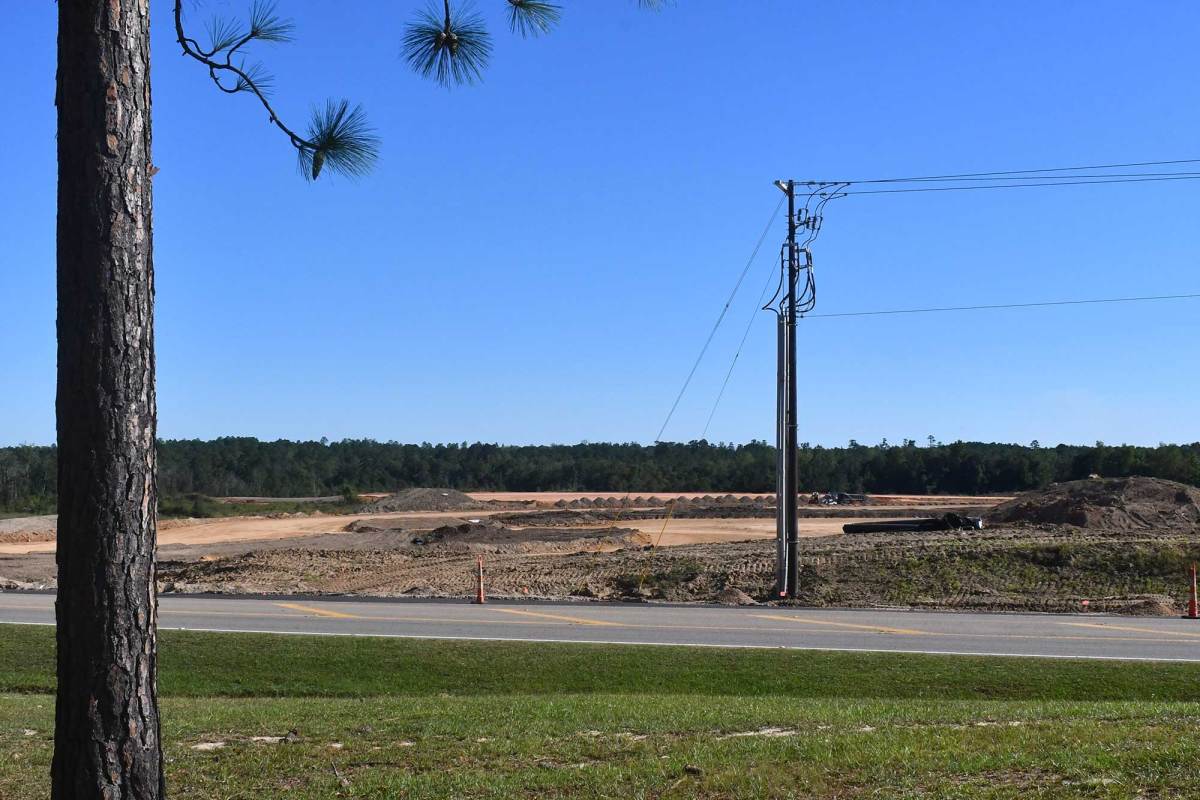 A tall pine tree stands in the foreground beside a paved road. Across the road, a large area of flattened earth shows heavy equipment tracks and piles of dirt under a cloudless blue sky. Power lines stretch horizontally above the site, and a forested tree line borders the horizon.