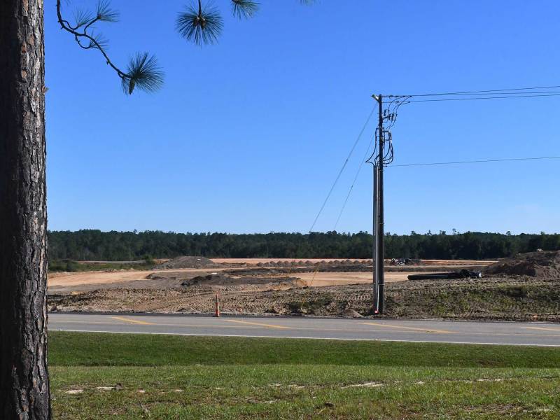 A tall pine tree stands in the foreground beside a paved road. Across the road, a large area of flattened earth shows heavy equipment tracks and piles of dirt under a cloudless blue sky. Power lines stretch horizontally above the site, and a forested tree line borders the horizon.