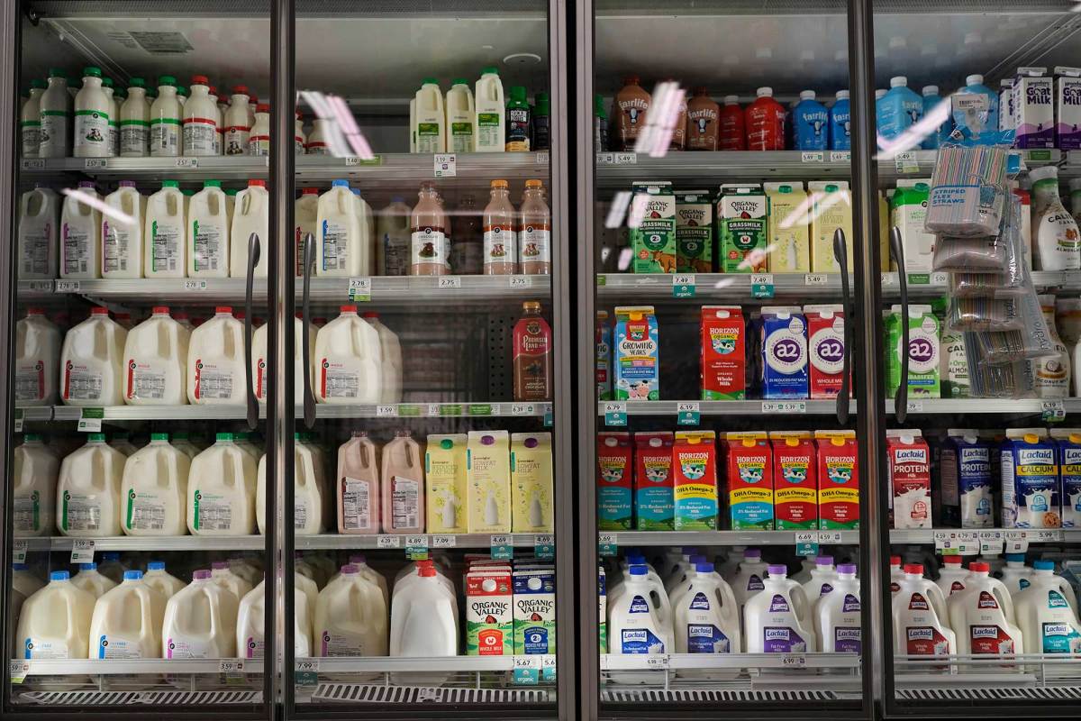 Rows of jugs of milk in coolers at a grocery store