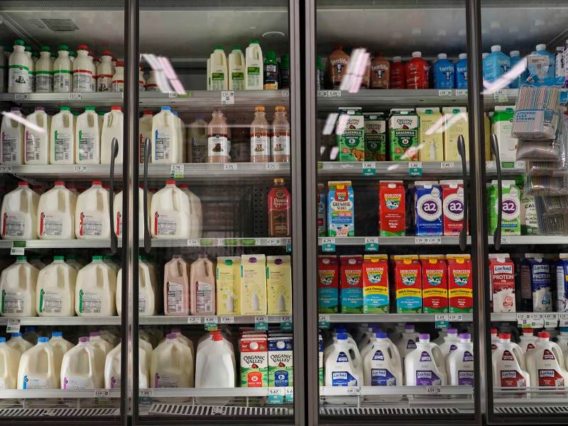 Rows of jugs of milk in coolers at a grocery store