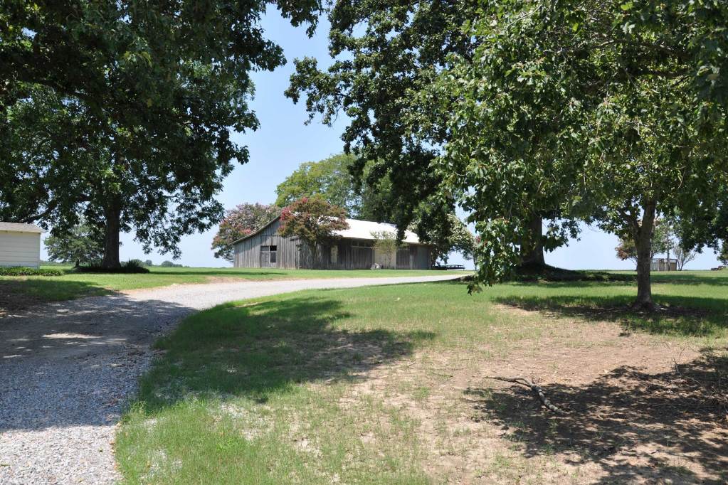 A barn is seen down a winding gravel road past large trees