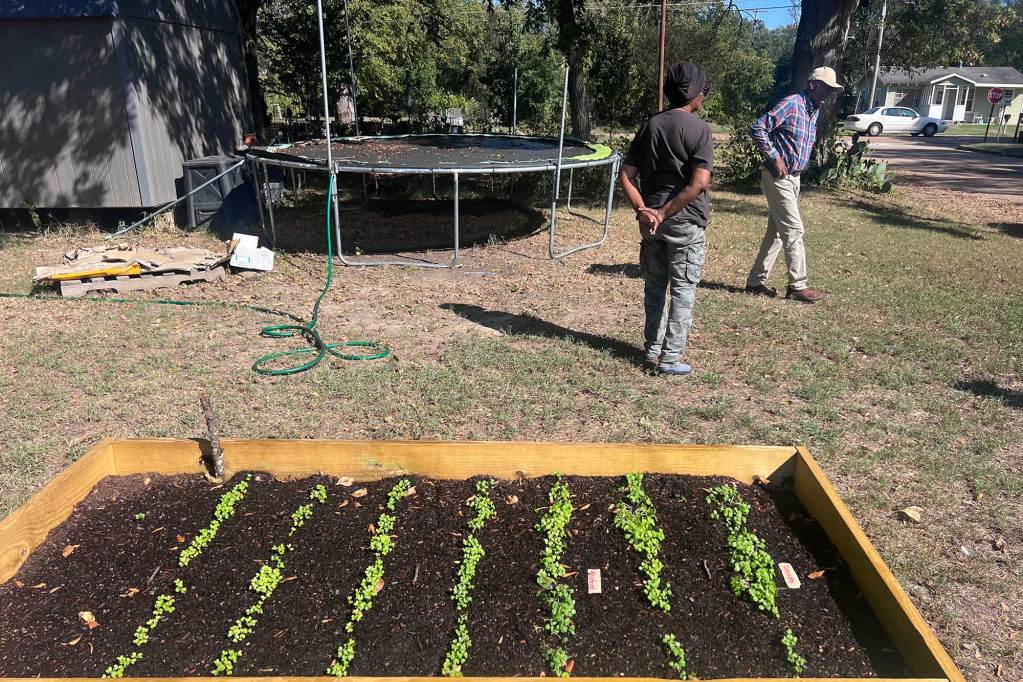 A raised box garden grows in a home yard. Two people are walking in the yard behind the garden.