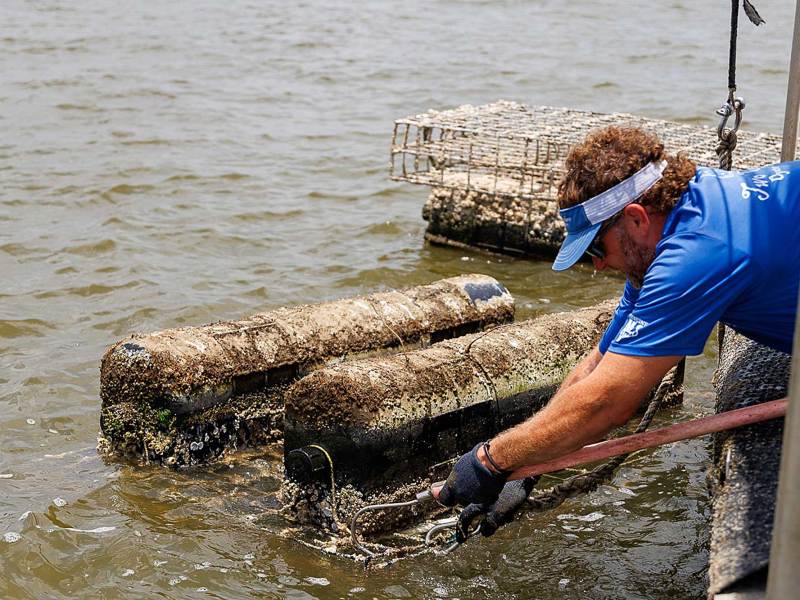 A man in a blue shirt pulls an off-bottom oyster cages toward a boat.