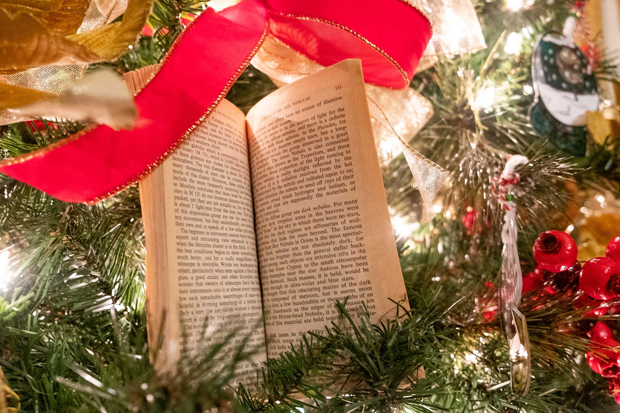 A closeup of an open book sitting in a Christmas tree as decoration
