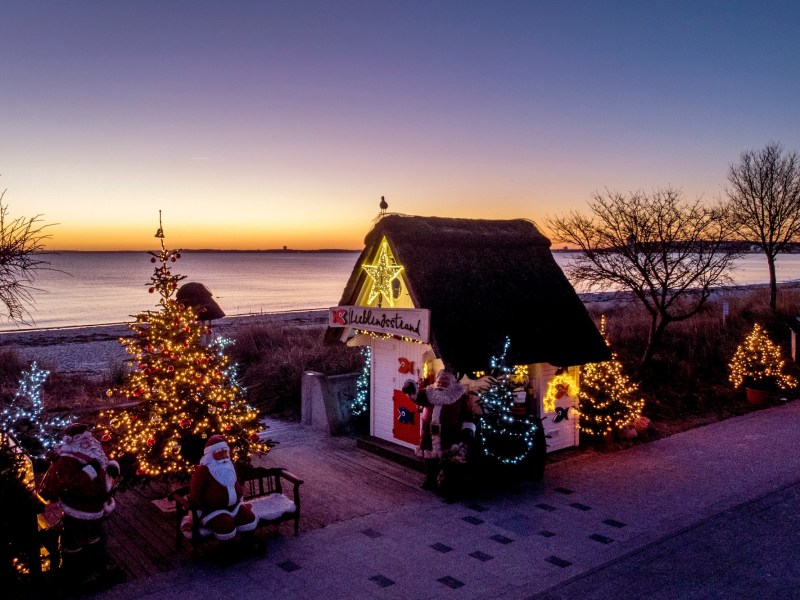 A house surrounded by several trees decorated with Christmas lights. The sun is setting in the distance.