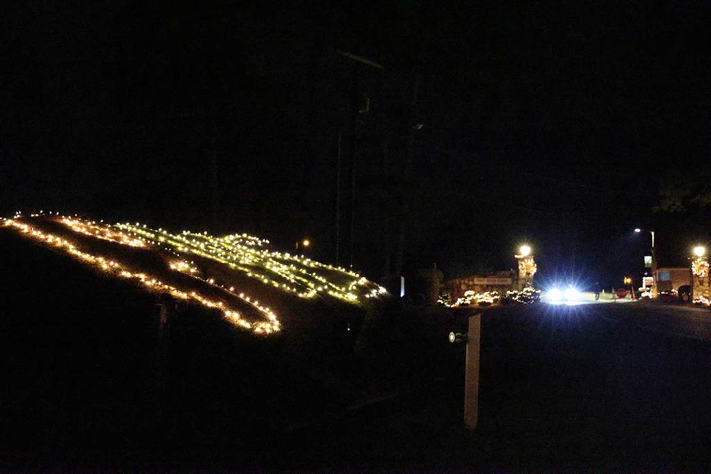 A nighttime view of christmas lights spelling "PWS" on the side and oncoming car lights in the distance