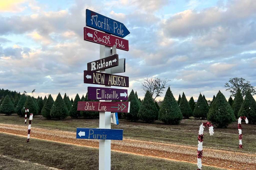A wooden Christmas-themed sign pointing toward different areas of a tree farm.