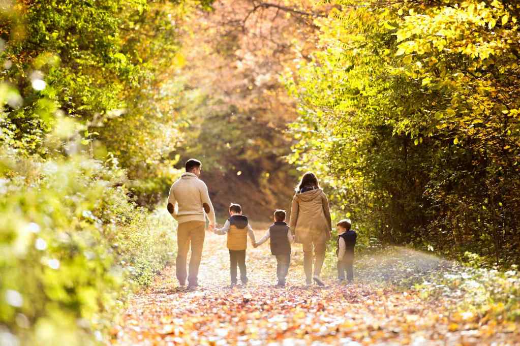 A man, woman and three young boys holding hands and walking on a sunny trail.