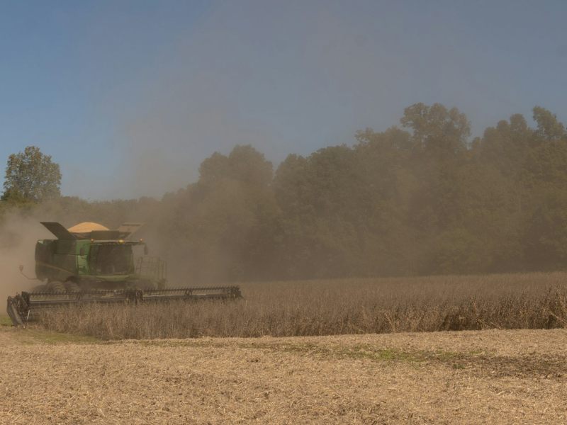 A combine harvester working on a crop, kicking up a cloud of dust.