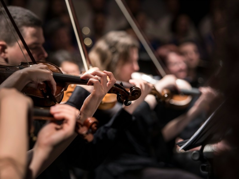Several violin players lined up in an orchestra.