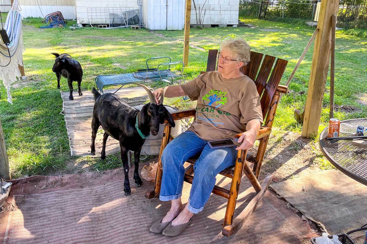 A woman sitting in a rocking chair outside, petting a goat with black fur.