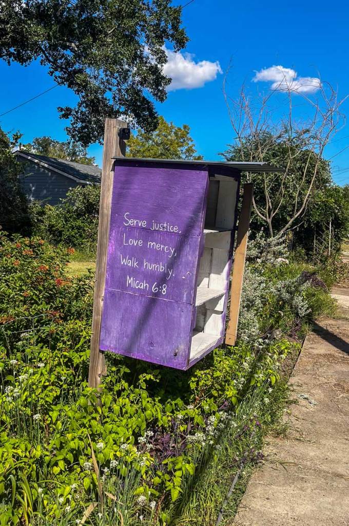 A shelf on grass near a sidewalk. One side is painted purple and has white text that reads, “Serve justice, love mercy, walk humbly. Micah 6:8”
