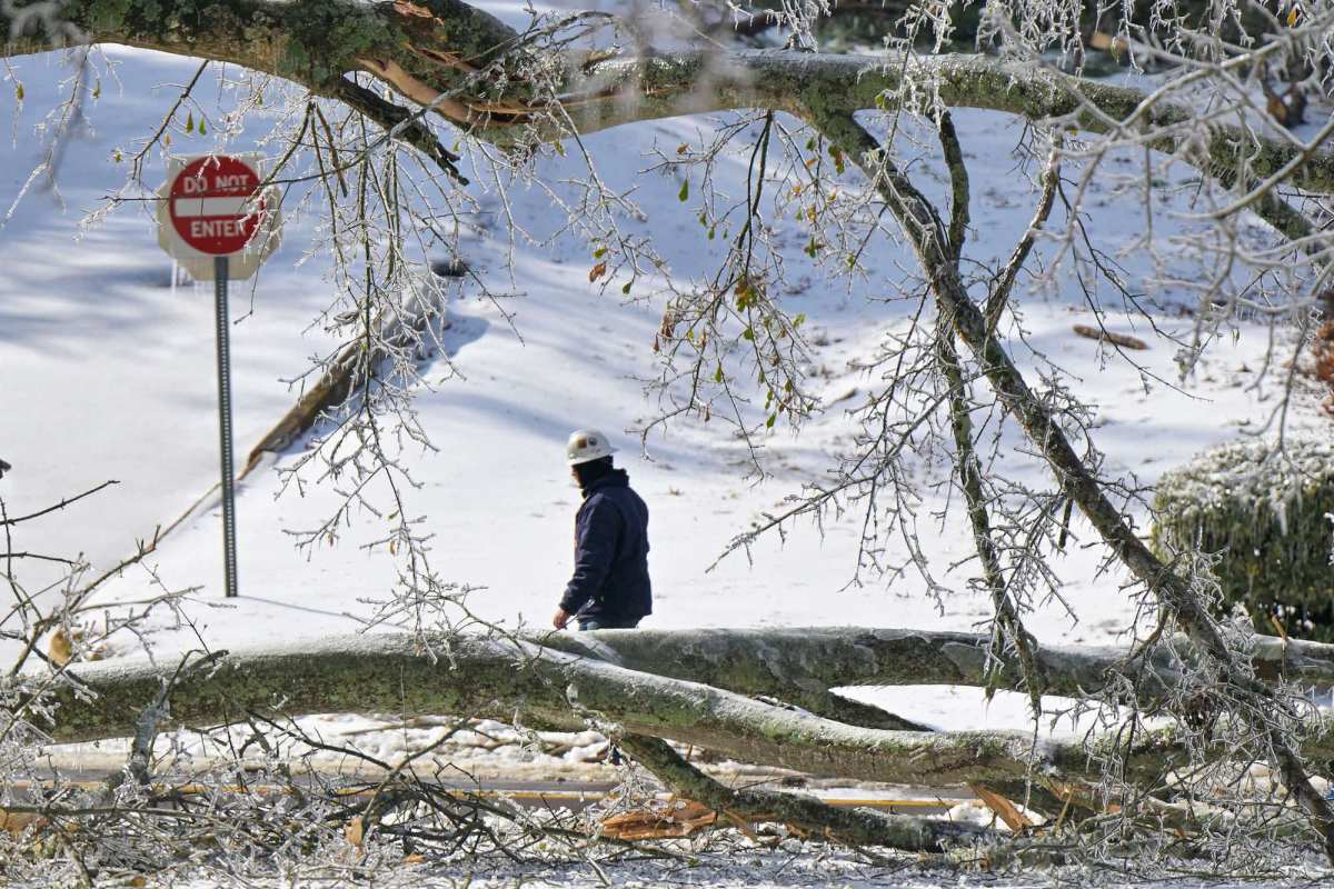 An electrical worker in a white hard hat walks down a snow covered street past fallen trees