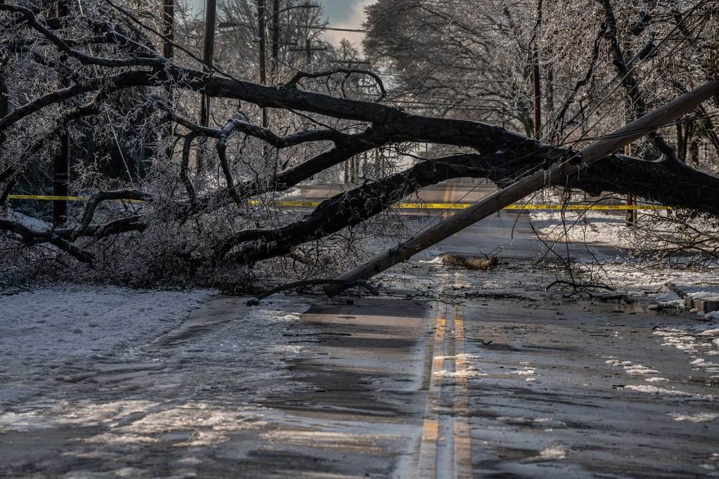 An ice-covered tree rests across a roadway