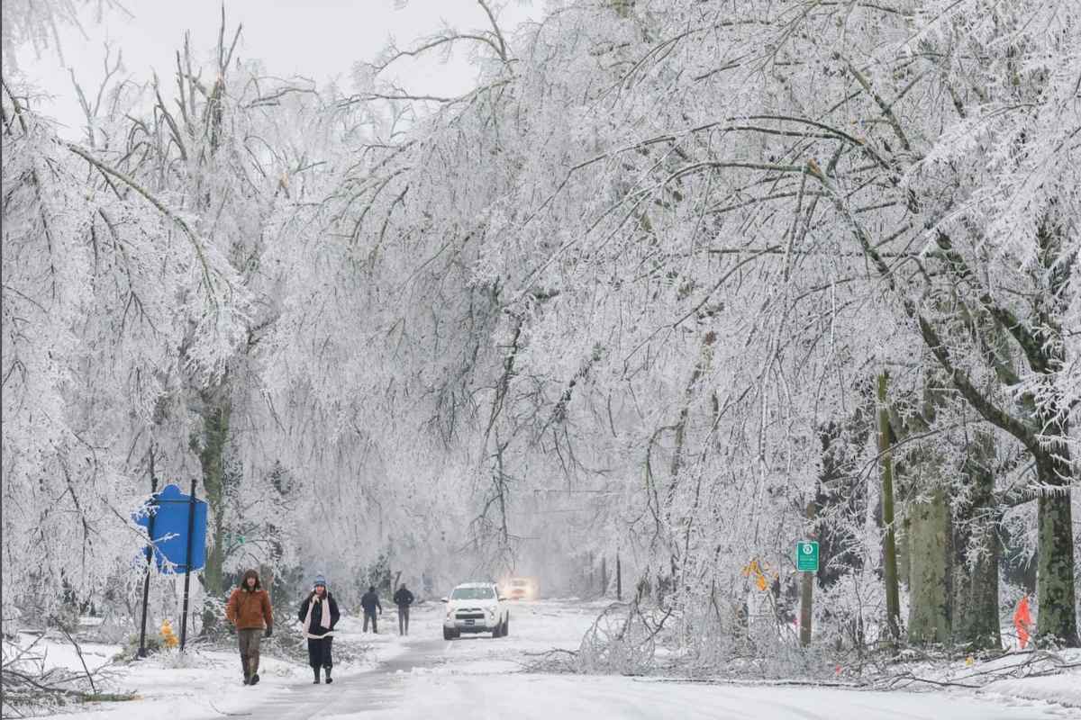 A winter scene on a road, ice covered trees dipping into the street as people walk past it