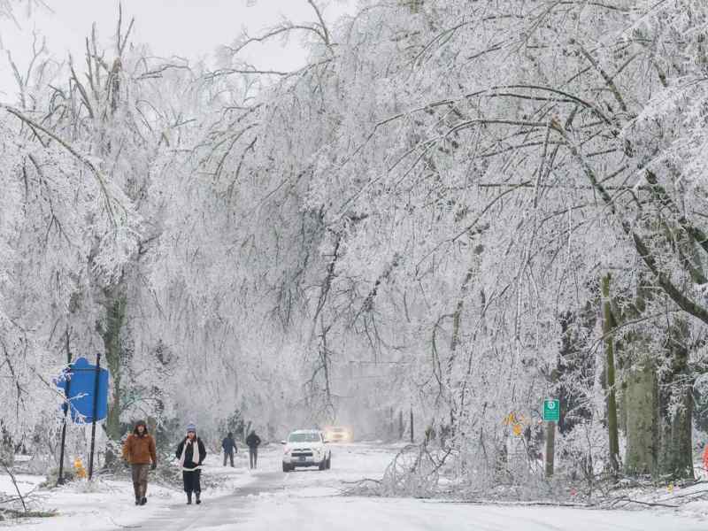 A winter scene on a road, ice covered trees dipping into the street as people walk past it