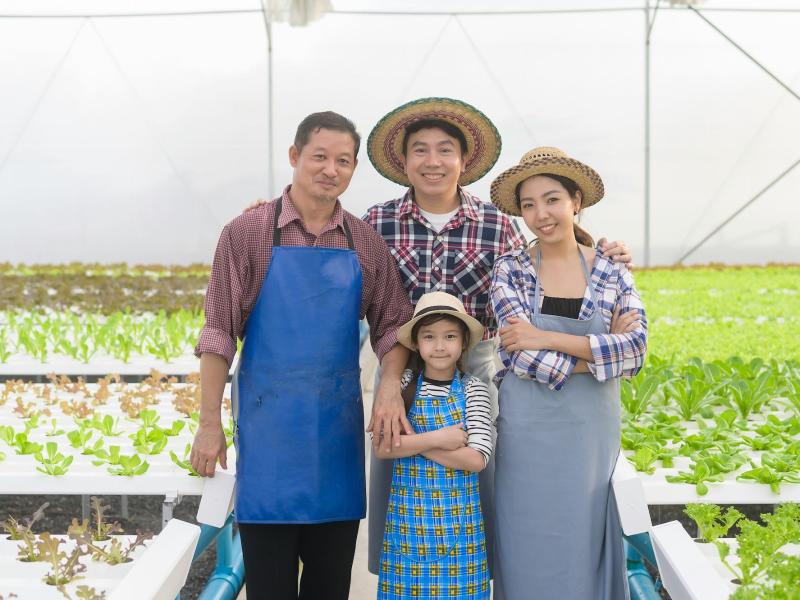 Two men, a woman and young girl standing together in a greenhouse with crops behind them.