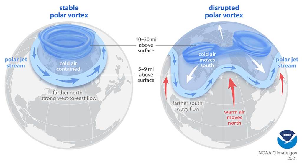 Two globes, one showing a stable polar vortex and the other a disrupted version that brings brutal cold to the South