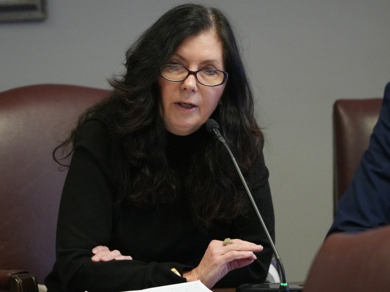 Angela Hill, dressed in black, speaks in committee