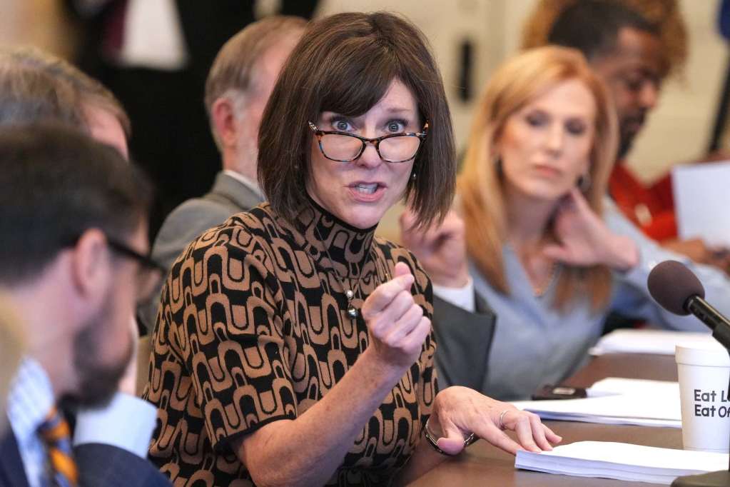 Missy McGee in a brown geometric top seen speaking at a meeting, one hand gesturing