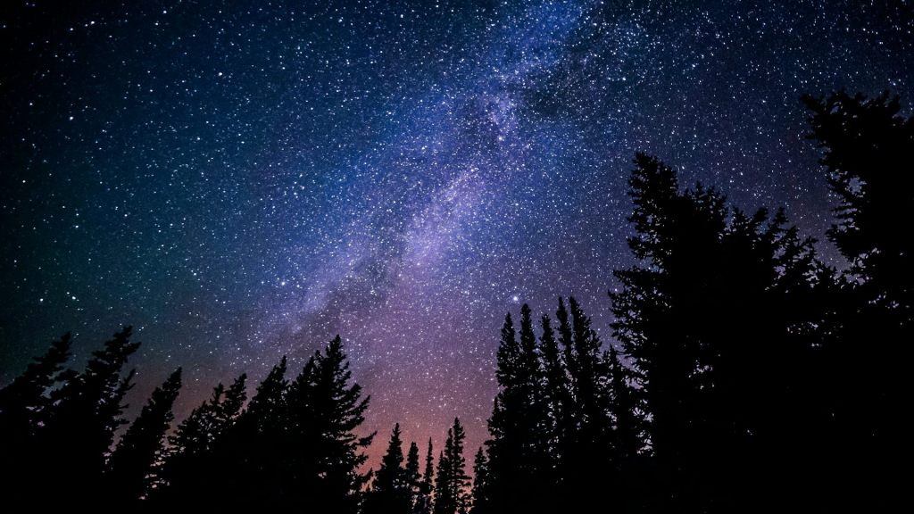 A photo of the night sky with trees in the background. The sky has countless stars and a blue-and-purple hue.