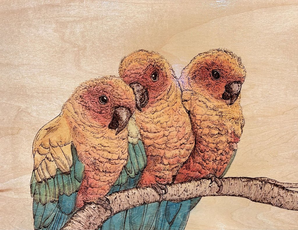 A piece of wood-burned artwork featuring three colorful birds sitting together on a branch