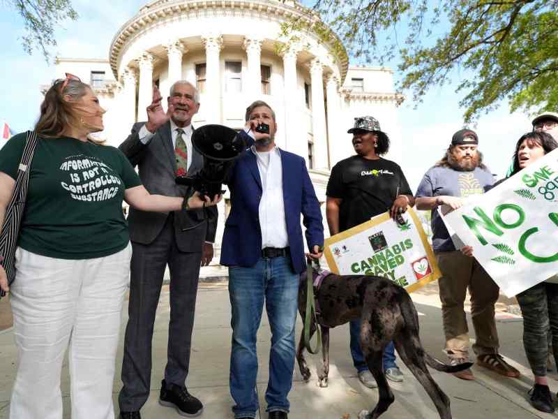 A group of people gather outside with signs that read 'Cannabis Saved My Life'