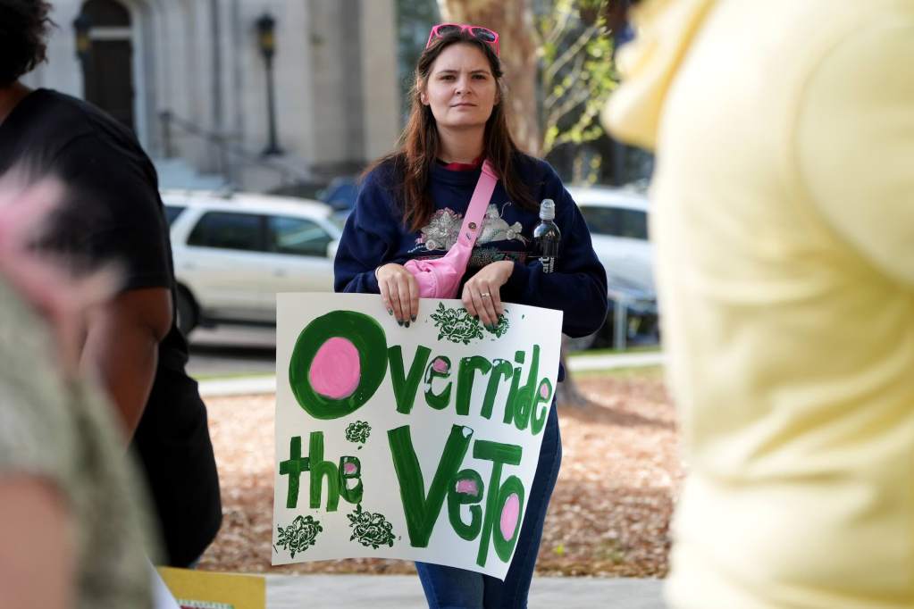 A woman holds a sign that reads 'Override the Veto' written in green and pink letters'