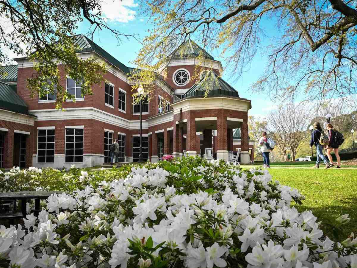 Students walk down a sidewalk towards a red brick campus building. The photo is framed with white flowering shrub on the bottom