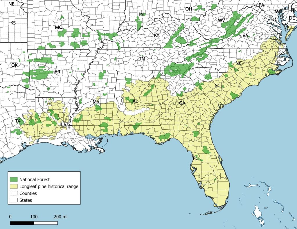 A map of the southeastern United States shows the historical longleaf pine forest range in yellow and National Forests in green