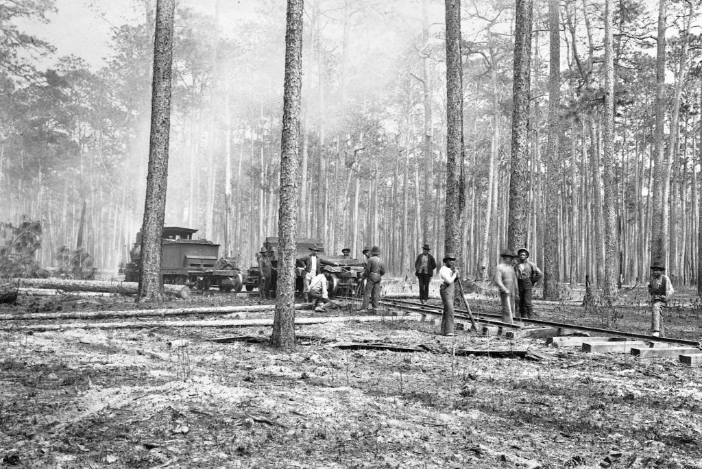 A black-and-white photo of men building a railroad in a forest.