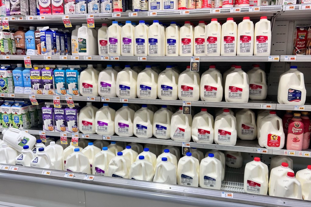Rows of milk jugs and cartons fill refrigerated shelves in a grocery store dairy aisle.