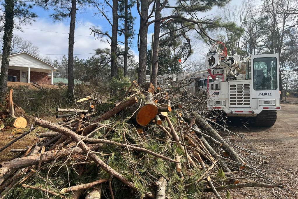 Heavy machinery works on moving piles of cut pine trees