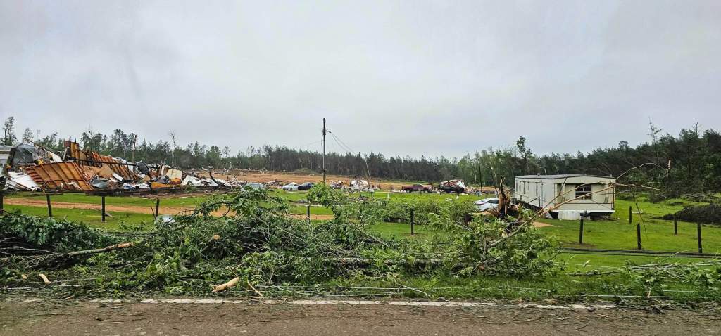 A view of a wide green space past the roadside with cut tree limbs lining the road, and large building debris further on the propery