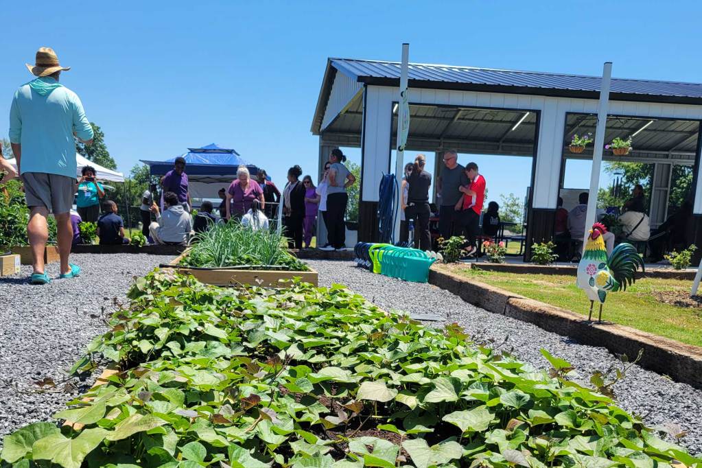 People walk around at an event outside with raised garden beds