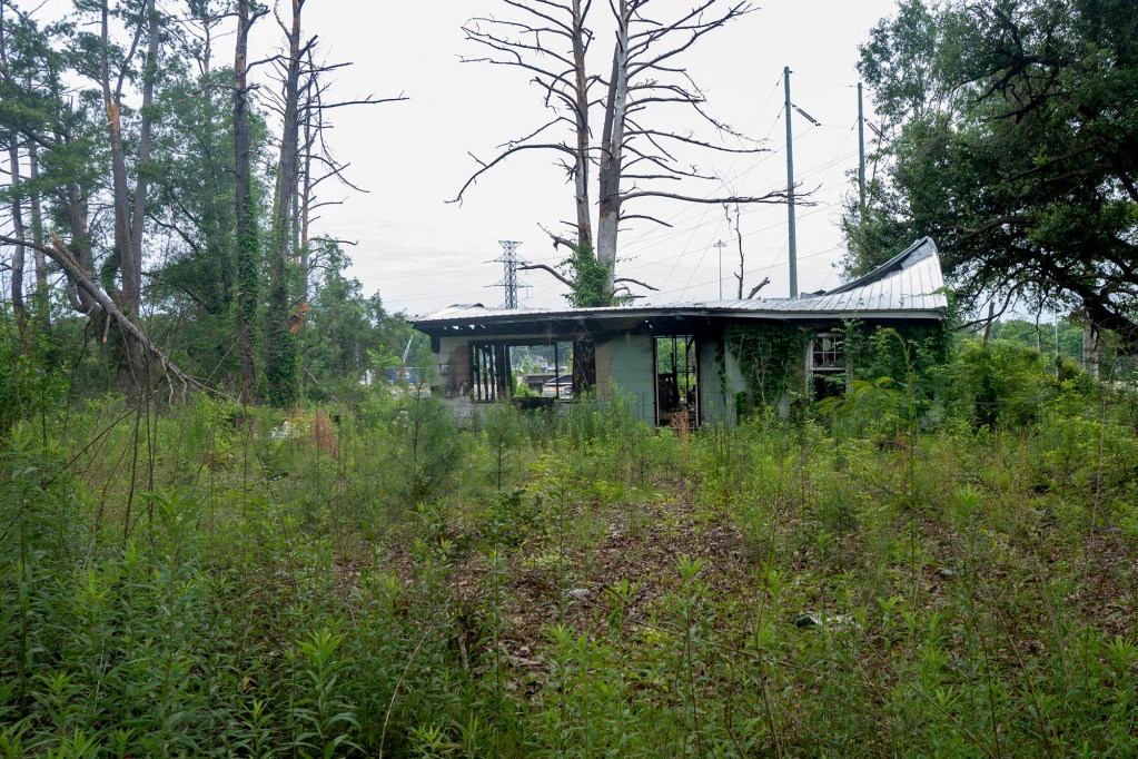 A burnt home at 2816 Kingswood Drive, surrounded by a yard full of tall, overgrown plants.