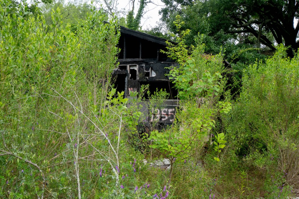 The burnt duplex at 1355 Marks Avenue can be seen between plant growth on the property.