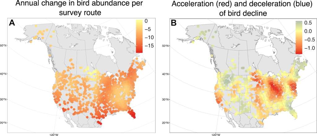 Two maps of North America comparing bird abundance with areas of population acceleration and decline.