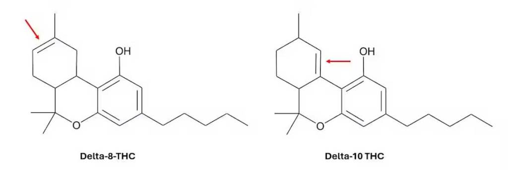 A graphic comparing the structure of two THC molecules