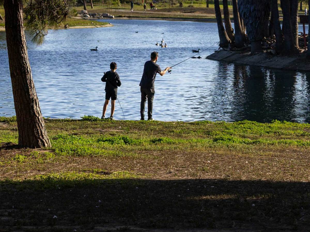 Opinion | Recreational Fishing Catches More Fish Than Expected