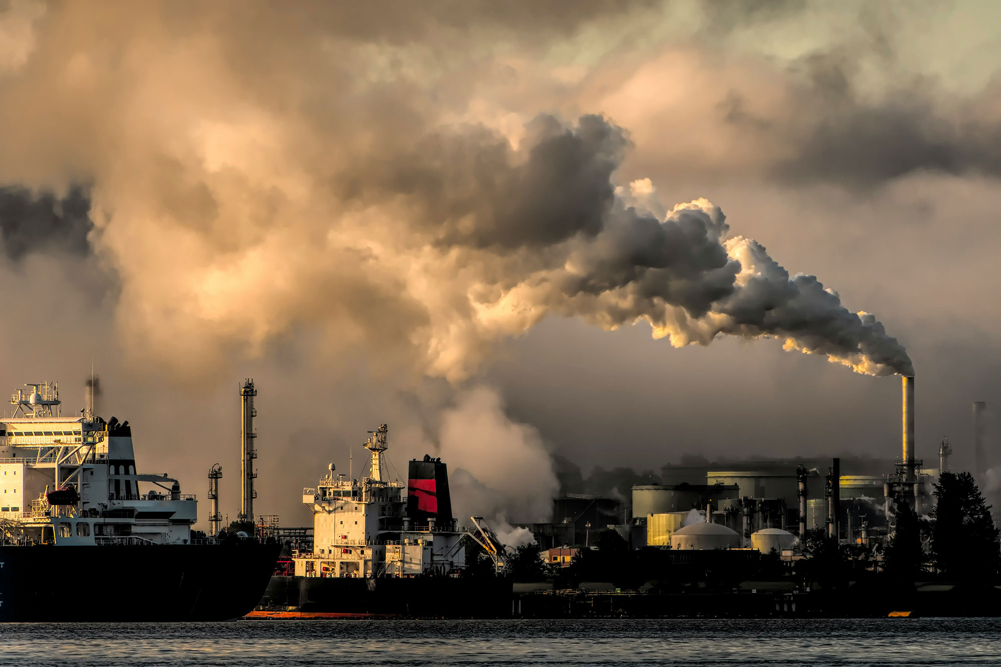 Opinion | 2025 Was Hotter Than It Should Have Been