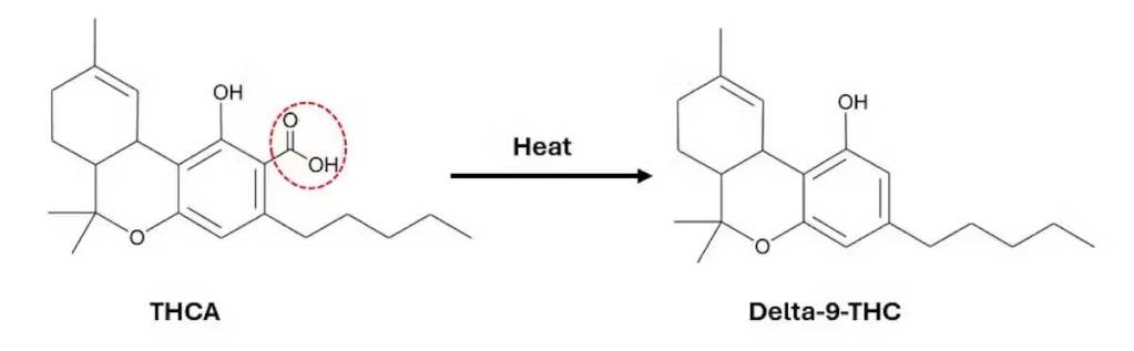 A graphic detailing the change of a molecule to a THC molecule