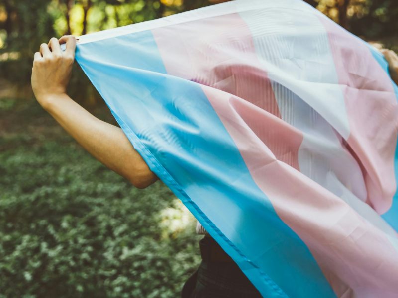 A pair of hands holding a pink, blue, and white transgender pride flag in the air