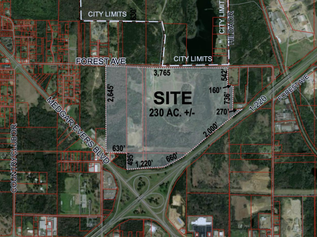 A zoning map showing an area labeled as SITE 230 AC +/-